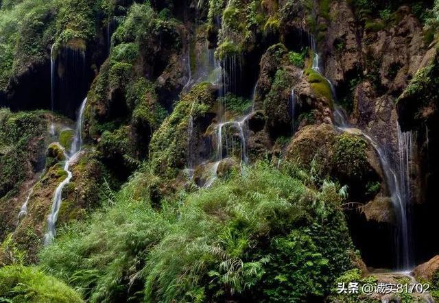 救援可爱小松鼠